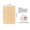 PlankKers Basswood Sheets 12"x8"x1/16 (6 Pack)- Thin Balsa Wood Sheets for Craft, Laser, Wood Burning, DIY Projects- Unfinished Plywood Sheets with Smooth Surfaces Can Be Cut and Painted to Any Shape